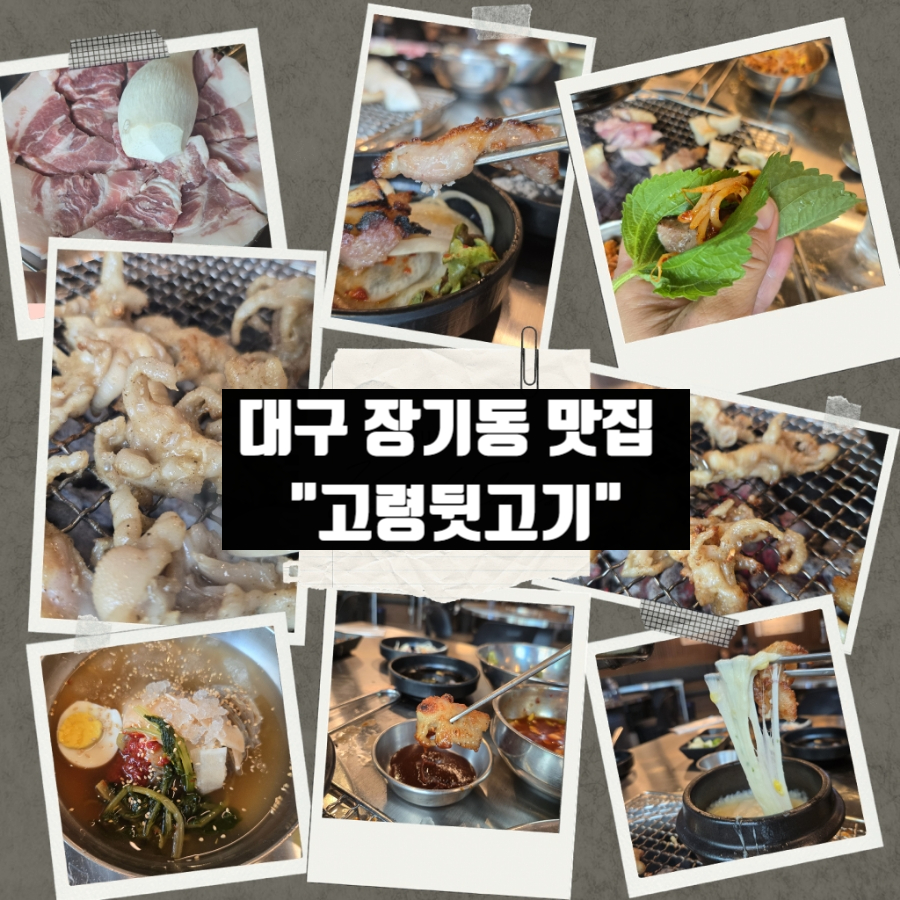 대구맛집고령뒷고기 이미지