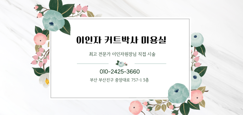 커트박사 이미지