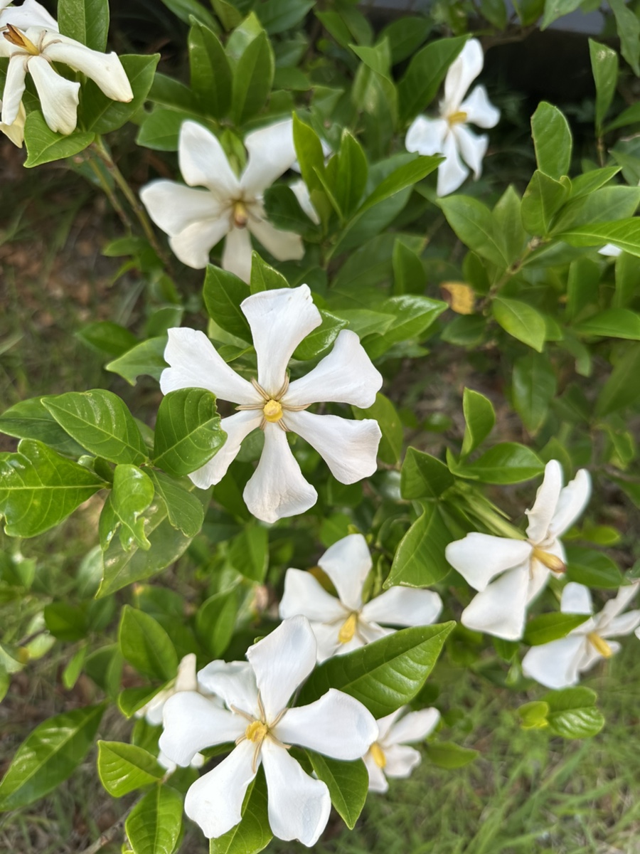 해성한식 이미지