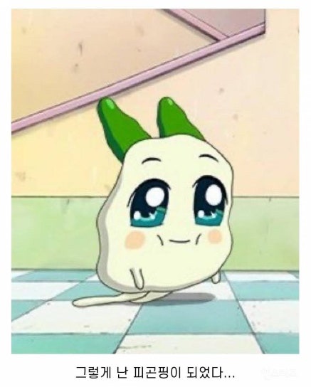 지데이 이미지