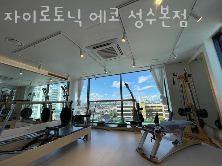 자이로토닉에코 이미지