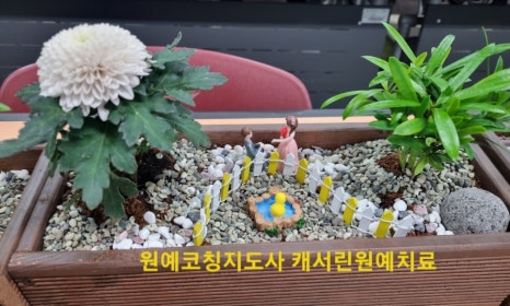 글로벌미래융합교육원 이미지