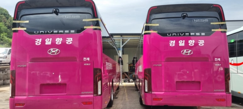경일항공여행사 이미지