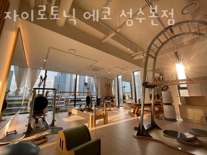 자이로토닉에코 이미지