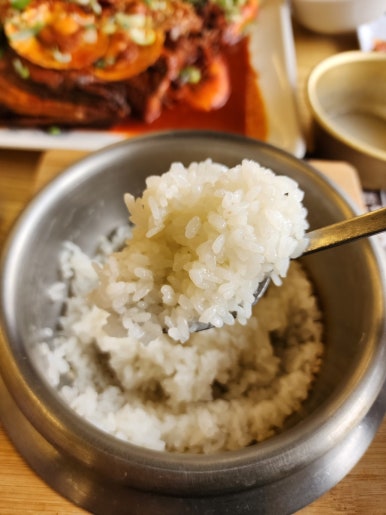 황금코다리 구영점 이미지