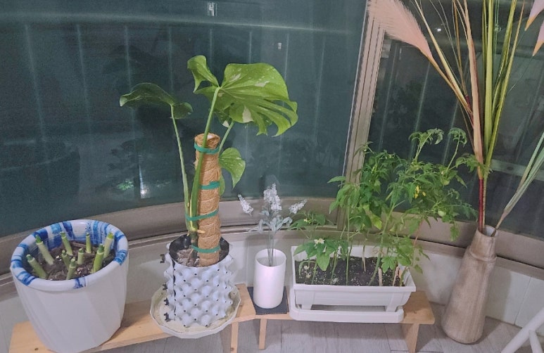썬갤러리농원 이미지