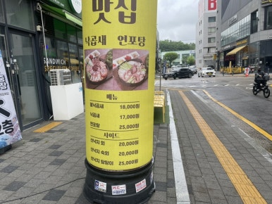 낙중지생 이미지