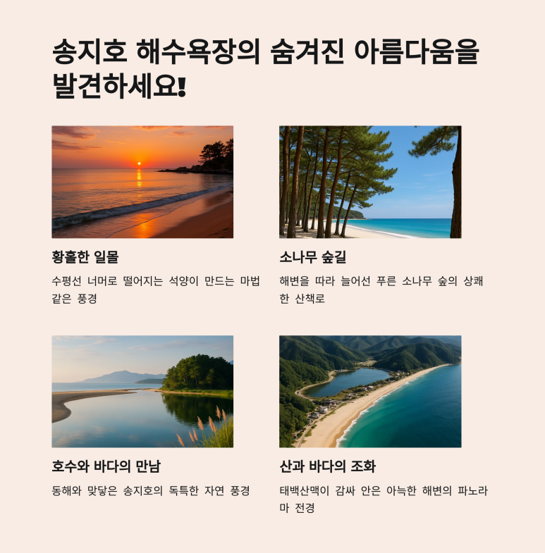 바다숲민박 이미지