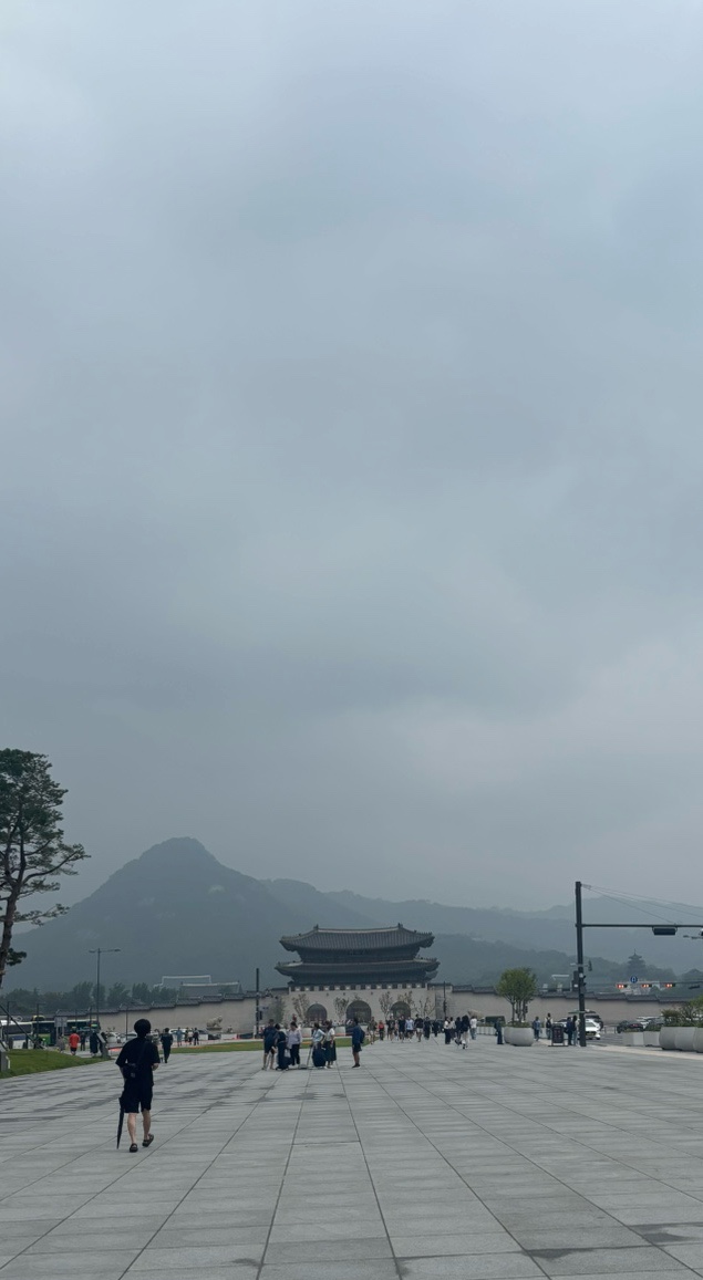 세네동 이미지