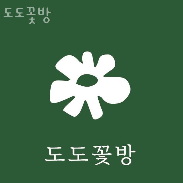 도도꽃방 이미지