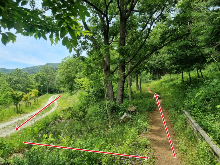 들머리식당 이미지