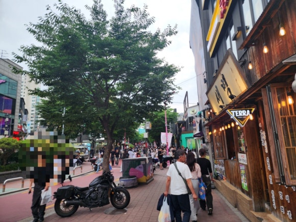 캐칭덕 이미지