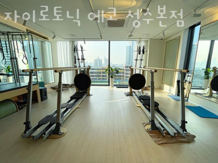 자이로토닉에코 이미지