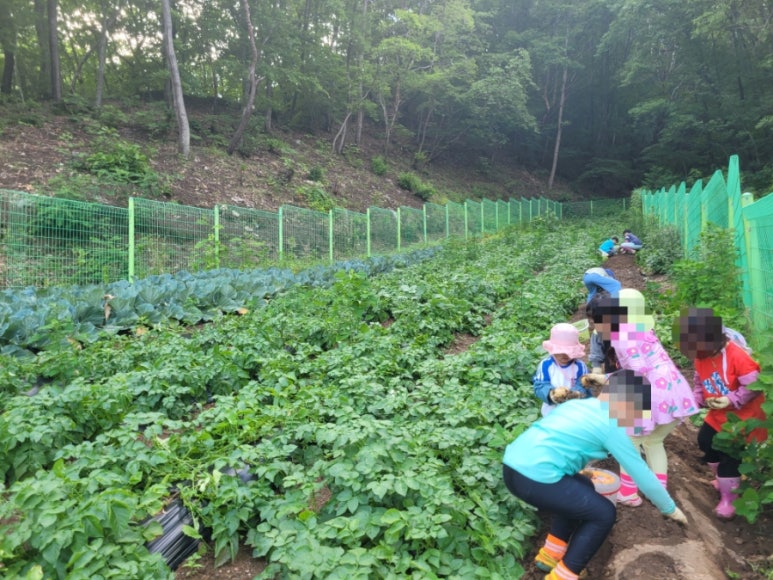 (주)풀내음 이미지