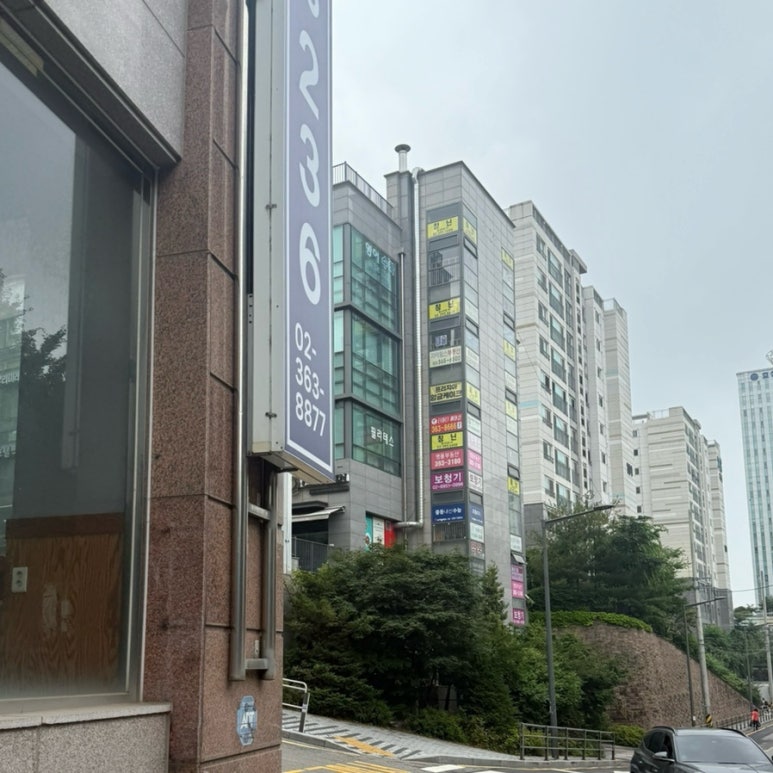 칭닌 이미지
