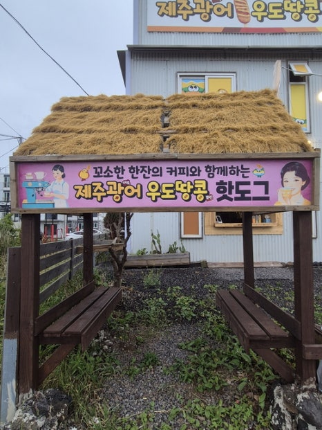 제주광어어묵핫도그 사진 7