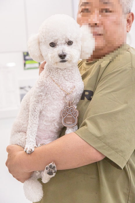 전우사 이미지