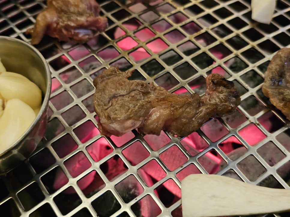 육주 사진 8