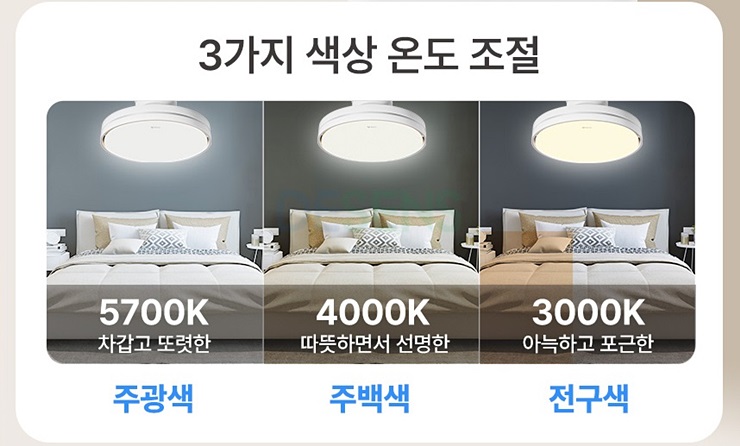 네오라이팅 이미지