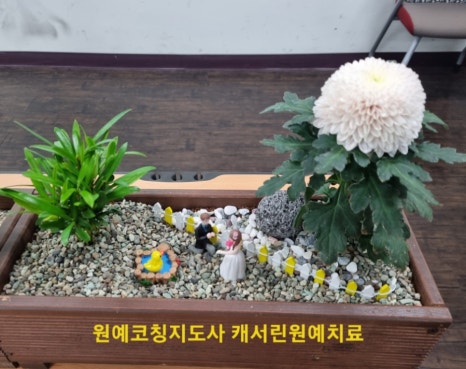 글로벌미래융합교육원 이미지
