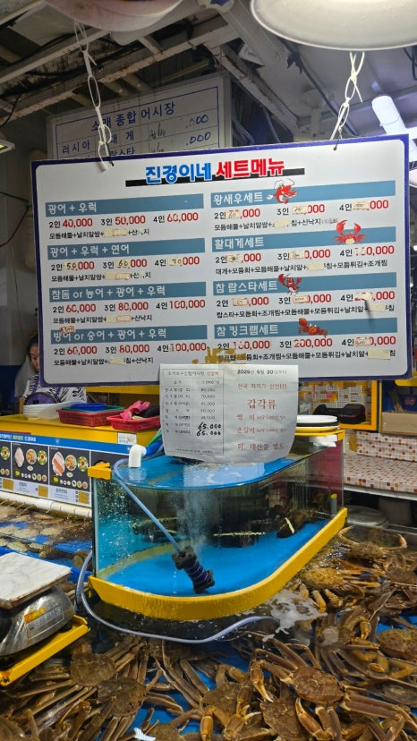 진경이네 이미지