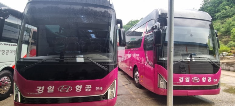 경일항공여행사 이미지
