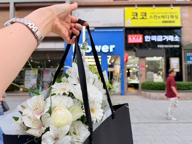 디그먼트 이미지