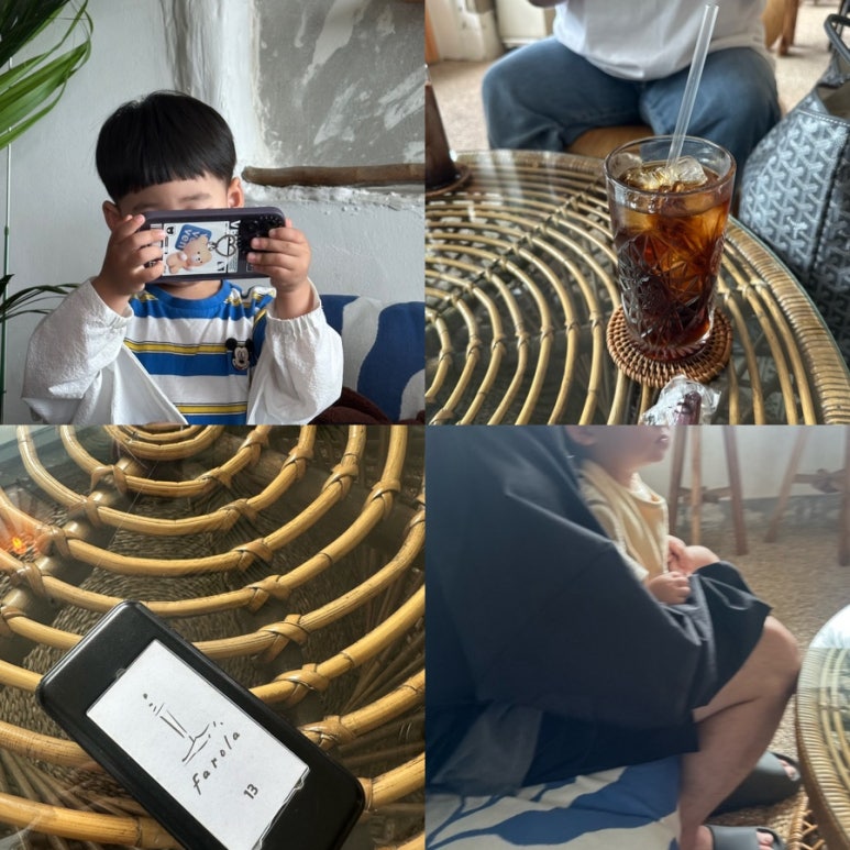 파로라 이미지