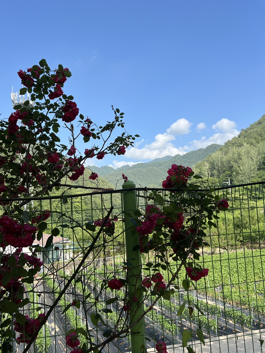 노동오토캠핑장 이미지