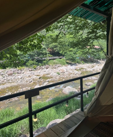 단양연화 이미지