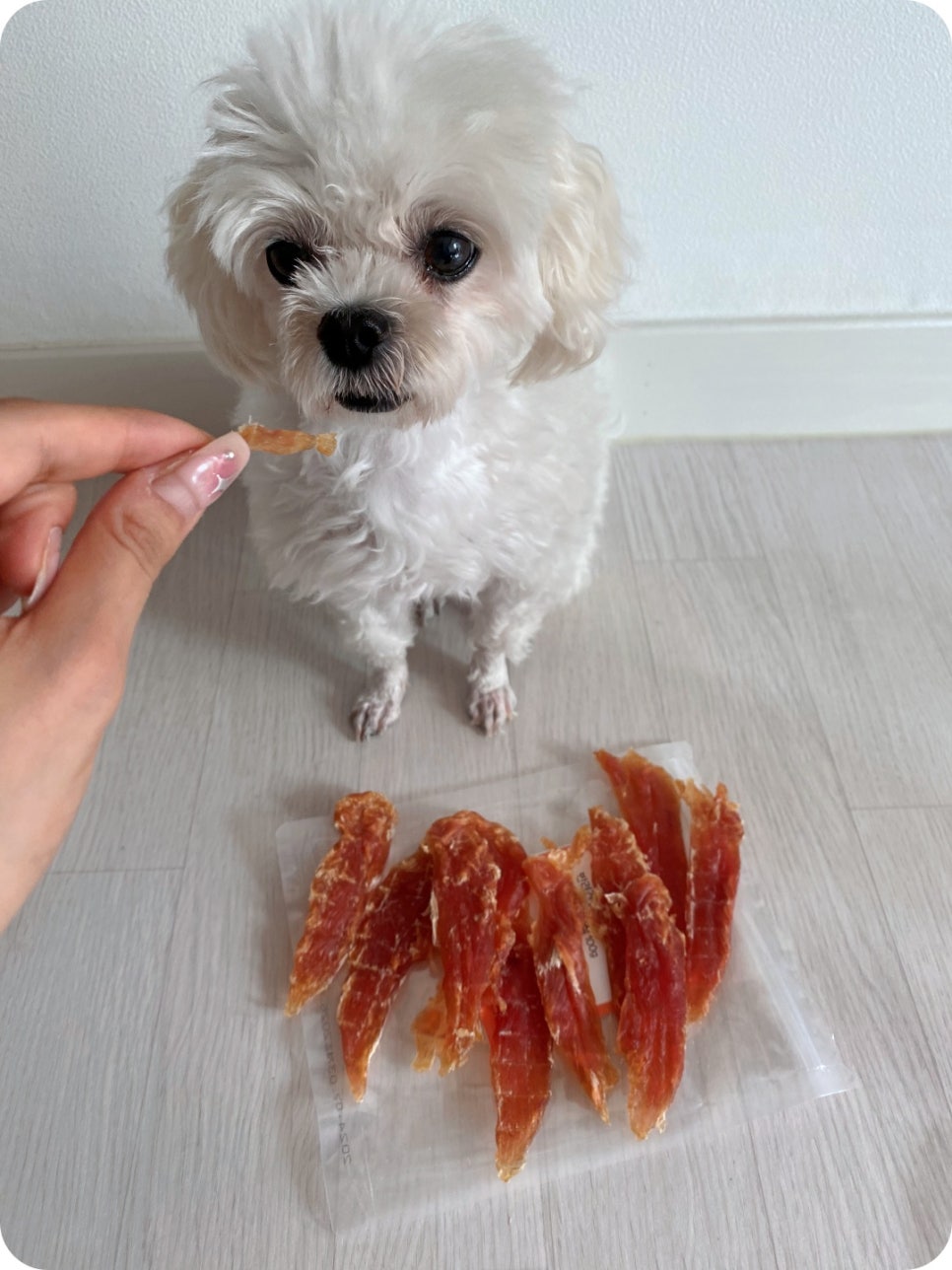 본아페티 강아지 수제간식 닭가슴살 후기 및 장점 — 사진 4