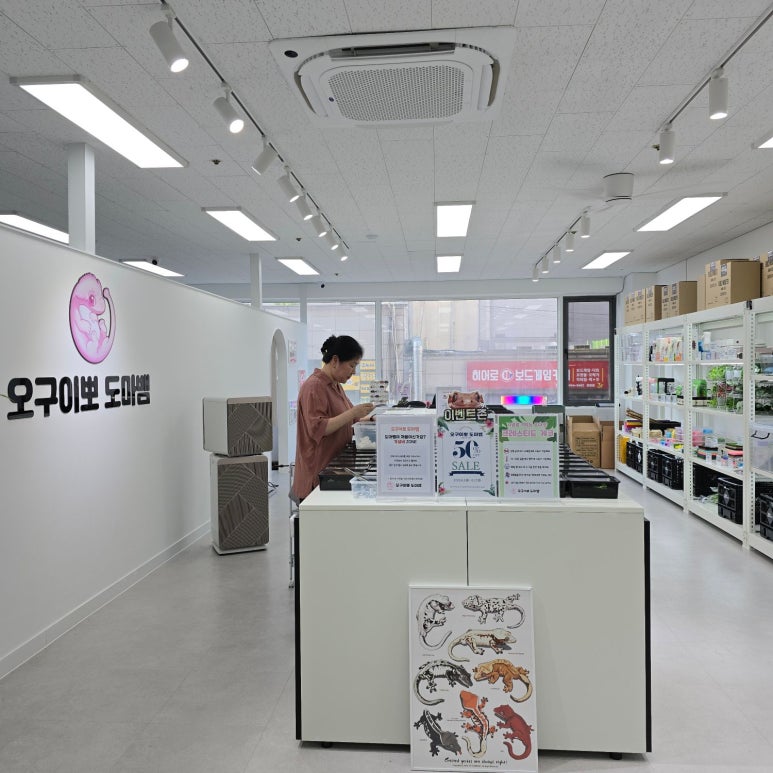 개코샵 이미지