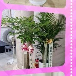 양주장례문화원 이미지