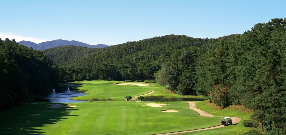 비단지음 이미지