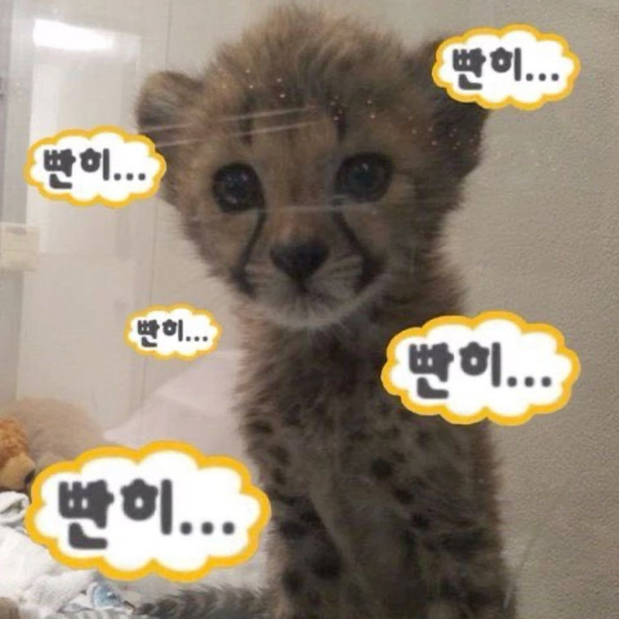 모노룸 이미지