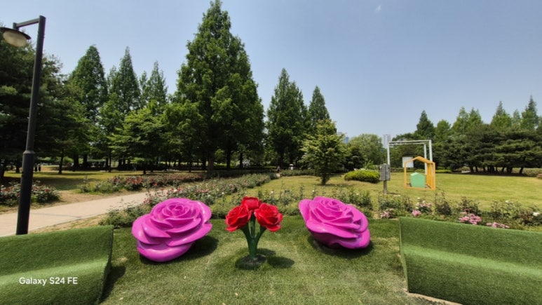 식향 이미지