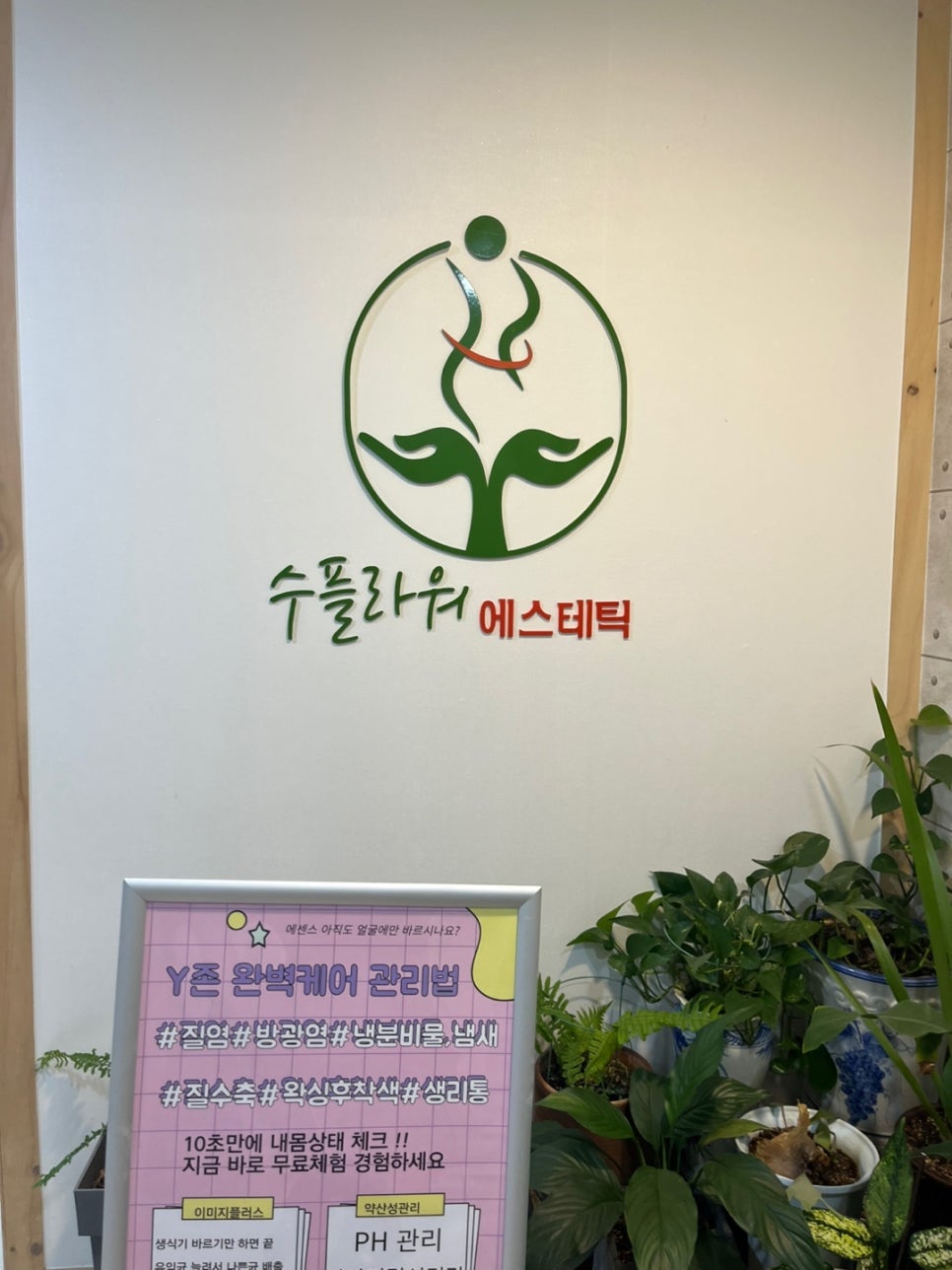 수플라워 이미지