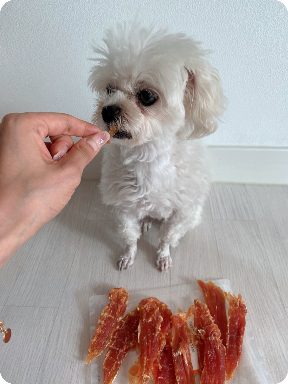 본아페티 강아지 수제간식 닭가슴살 후기 및 장점 — 사진 12
