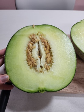 사돈농장 이미지