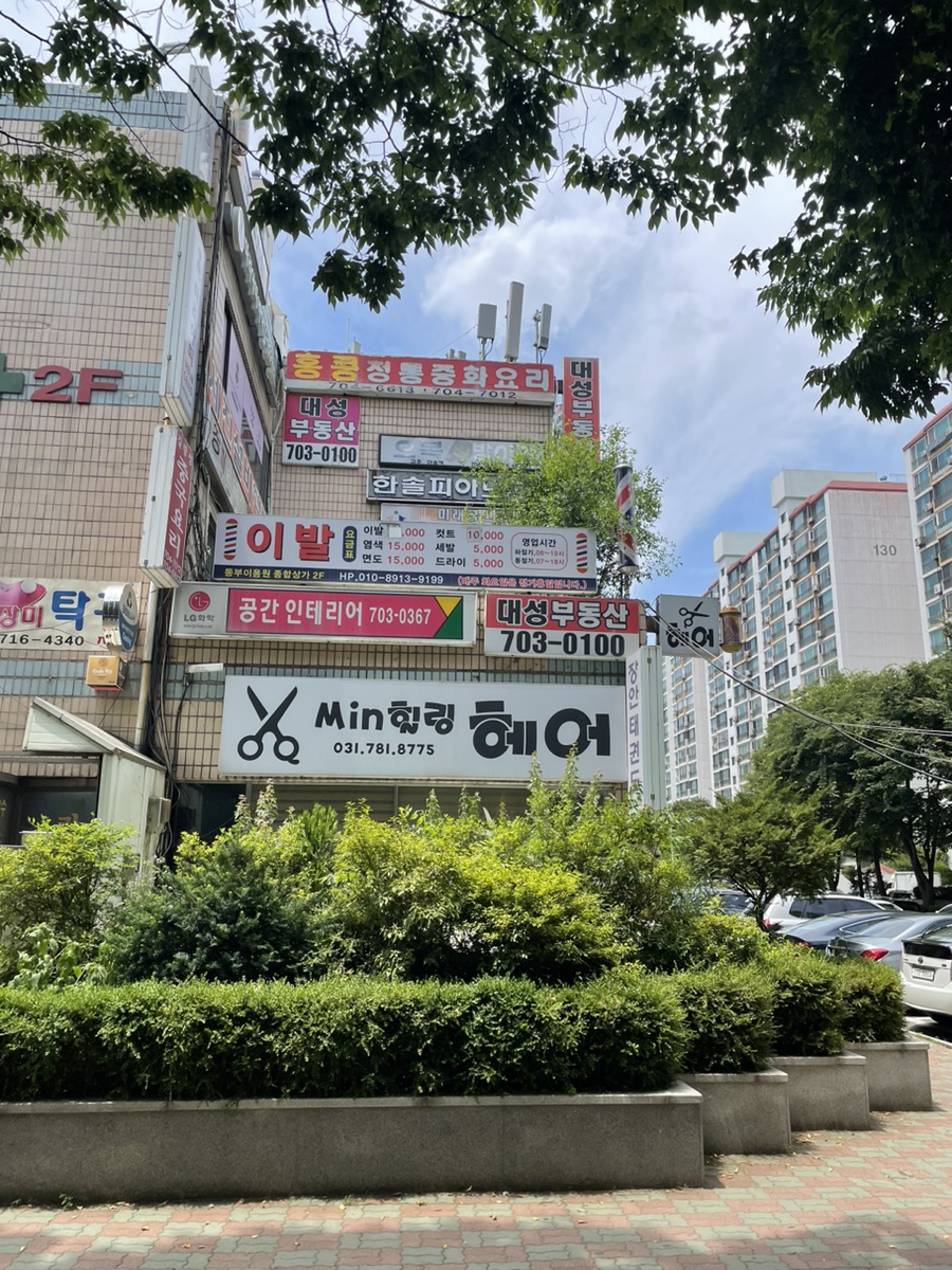 장미반점 사진 4