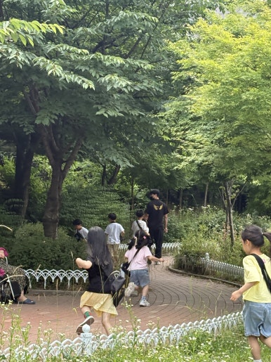 비룡점프윙스줄넘기클럽 이미지