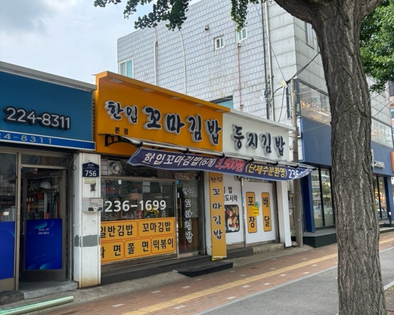 둥지김밥 이미지