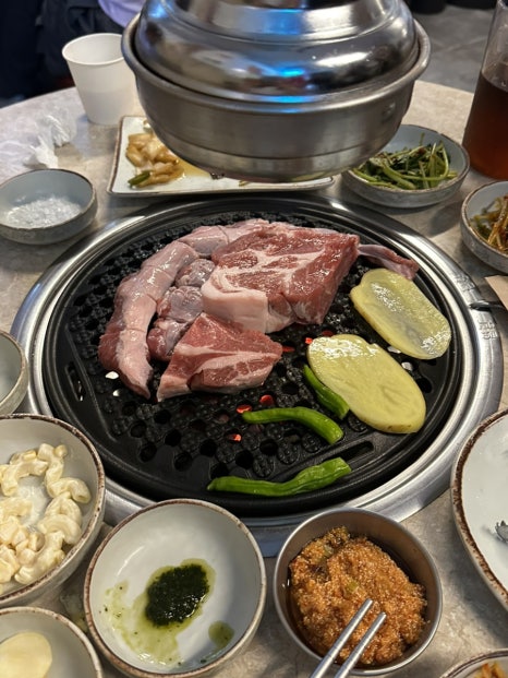 돼지나무사랑걸렸네 이미지