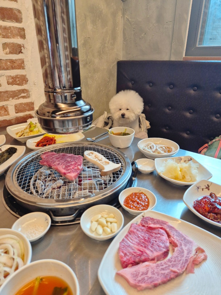 한우지 이미지