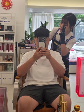 파슈헤어 이미지