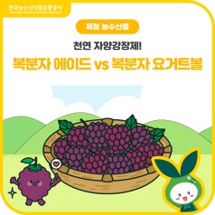 상큼한 복분자의 두 가지 매력! [복분자 에이드 vs 요거트볼] 당신의 선택은? 바로가기