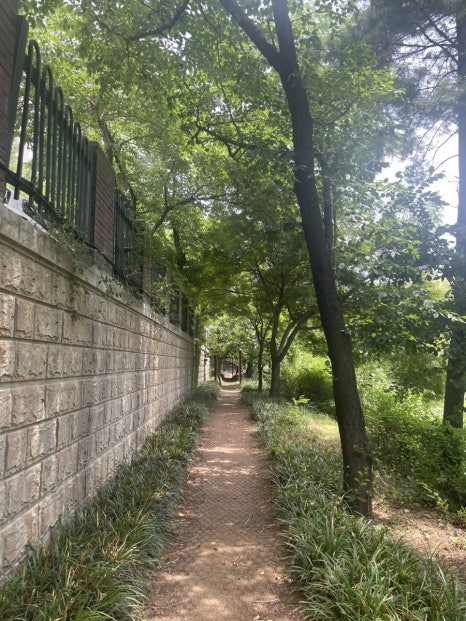 장미반점 사진 5