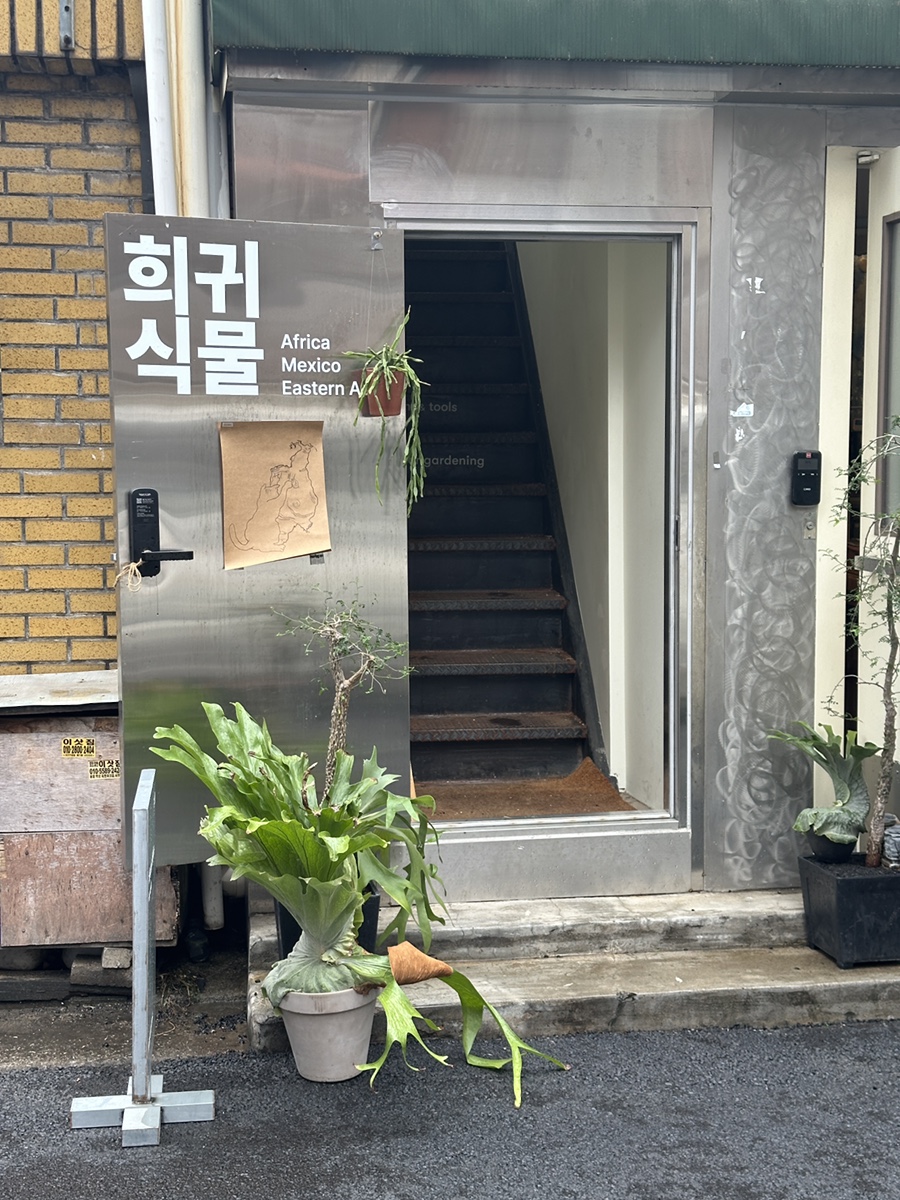 비자르플랫폼 이미지