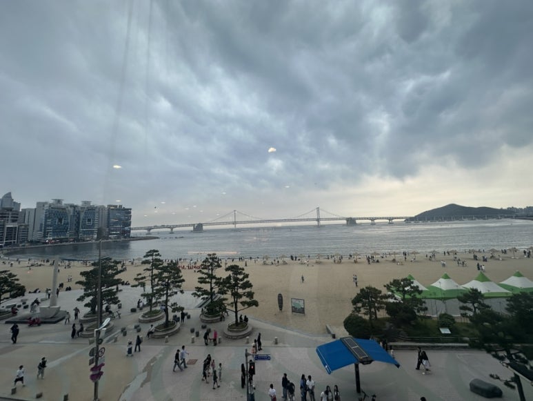 총총 이미지