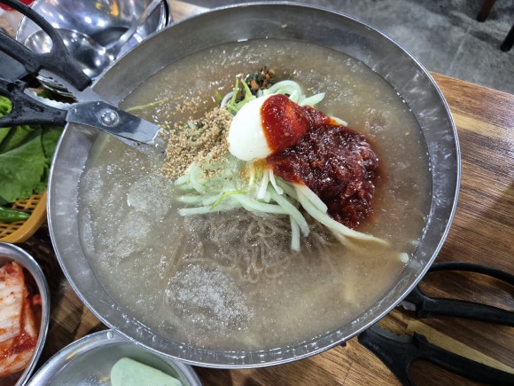 은행나무갈매기 이미지